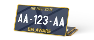 Plaque USA 30×15 Delaware