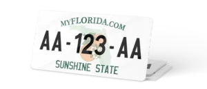 Plaque USA 30×15 Floride