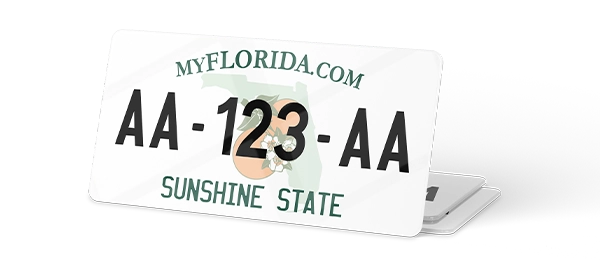 Plaque immatriculation USA 30×15 Floride