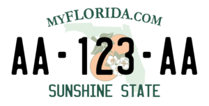 Plaque USA 30×15 Floride