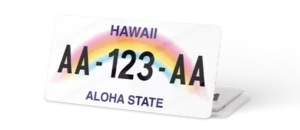 Plaque USA 30×15 Hawaii