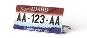 Plaque USA 30×15 Idaho