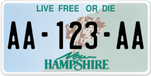Plaque USA 30×15 New Hampshire