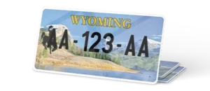 Plaque USA 30×15 Wyoming