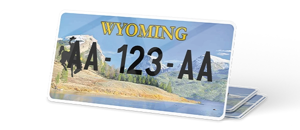 Plaque immatriculation USA 30×15 Wyoming