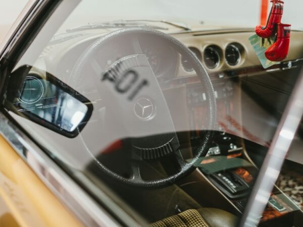 fin du permis de conduire à vie}