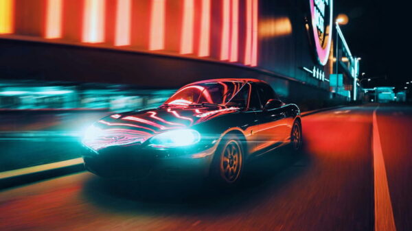 fausse plaque immatriculation}