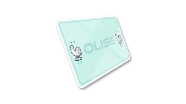 Plaque immatriculation Moto – 210×130 – Equipe de France Extérieur